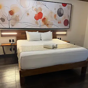 Hotel Kavia 5th Avenida (adults Only), Playa del Carmen